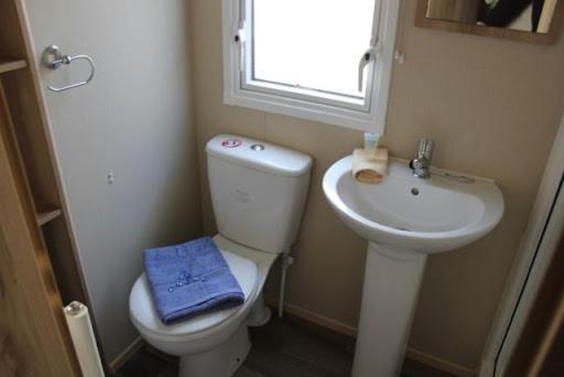 דירות New Quay Nb166 - Porth Bay Hideaway מראה חיצוני תמונה